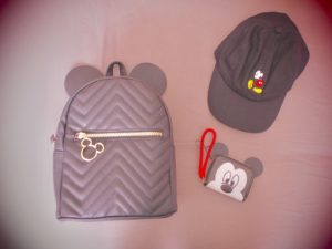 bag hat purse