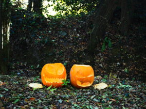 woods pumpkins